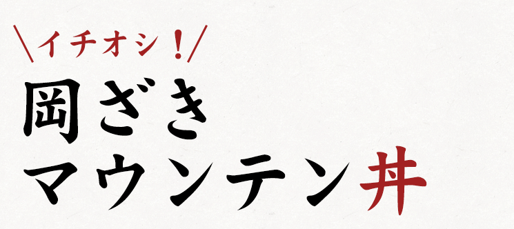 イチオシ！岡ざきマウンテン丼